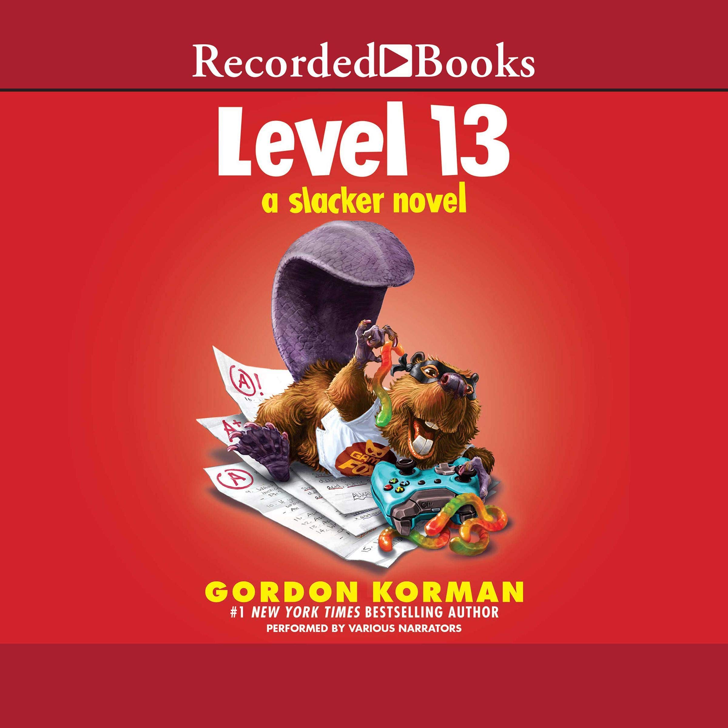 Cover art for Level 13