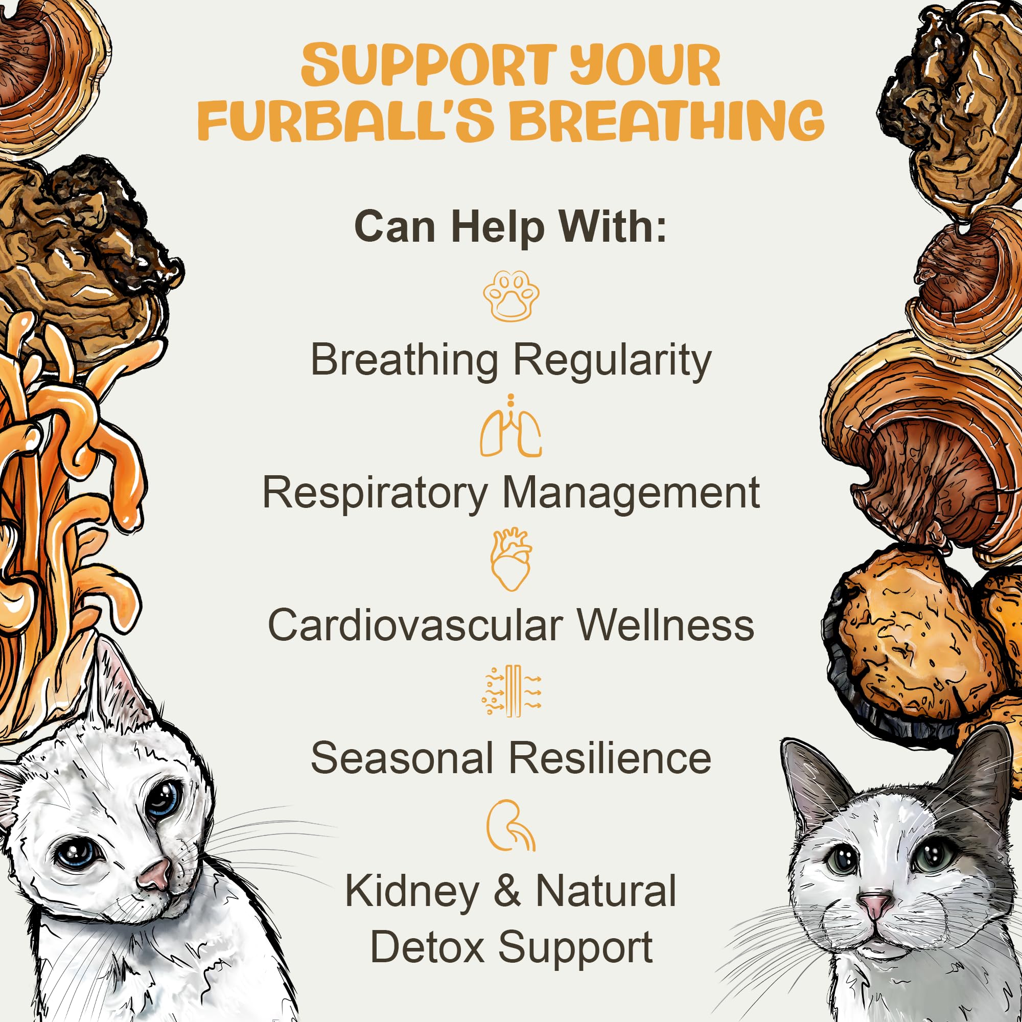 MycoCat Breathe, Cat Respiratory Support, Mushroom & Ashwagandha Drops, 2oz — Amazon image 5