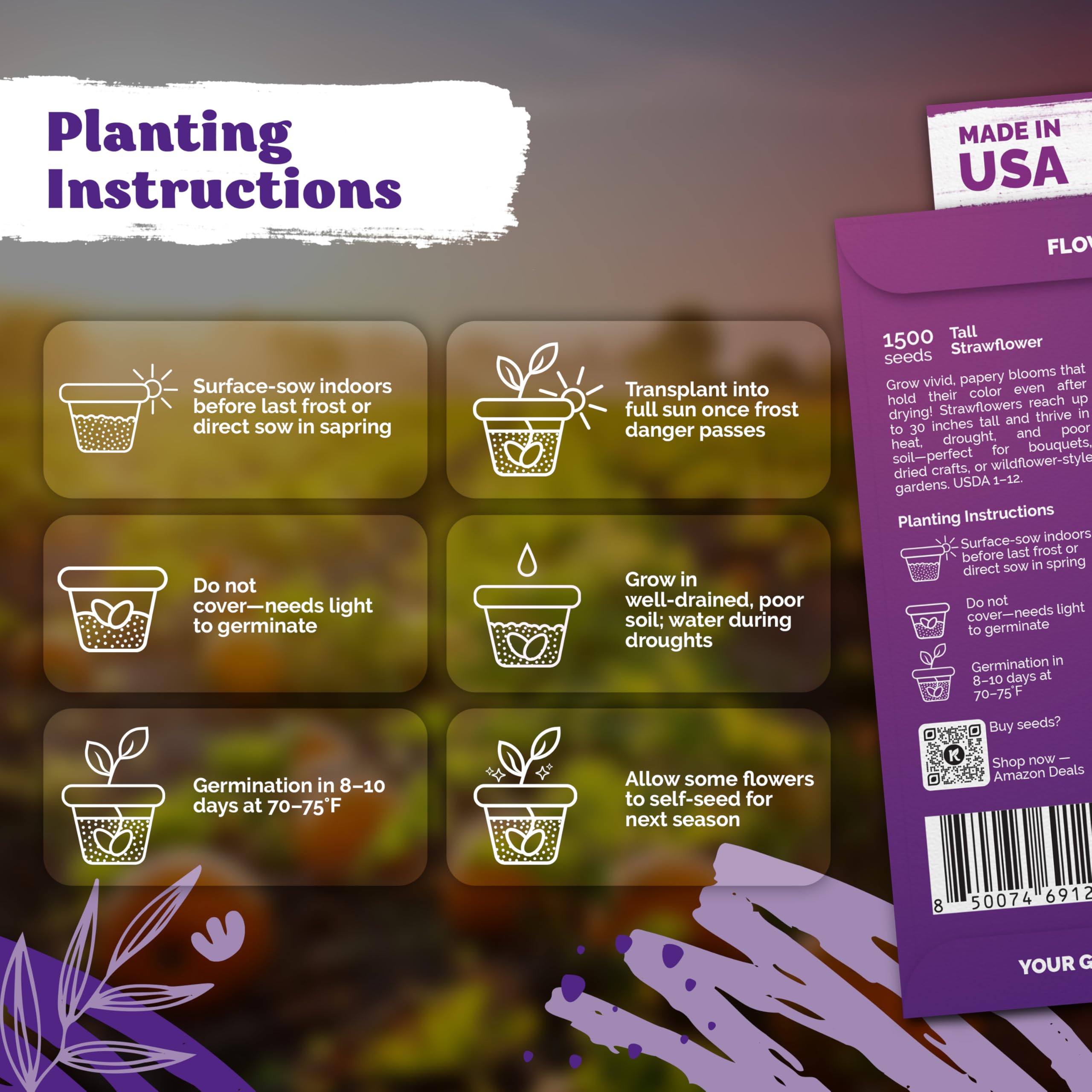 KVITER 1,500 Tall Mix Strawflower Seeds for Planting (Xerochrysum/Helichrysum Bracteatum) — Golden Everlasting Flower, Paper Daisy — Ideal Organic, Heirloom Cut Flower Seeds to Plant Outside & Drying