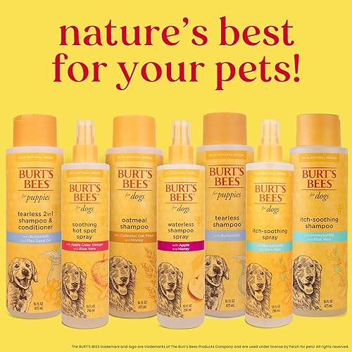 Miniatura 8 de Burt's Bees for Pets Champú en aerosol sin agua para perros con manzana y miel, 6 unidades, fórmulas de origen 99.1% natural, champú para perros sin
