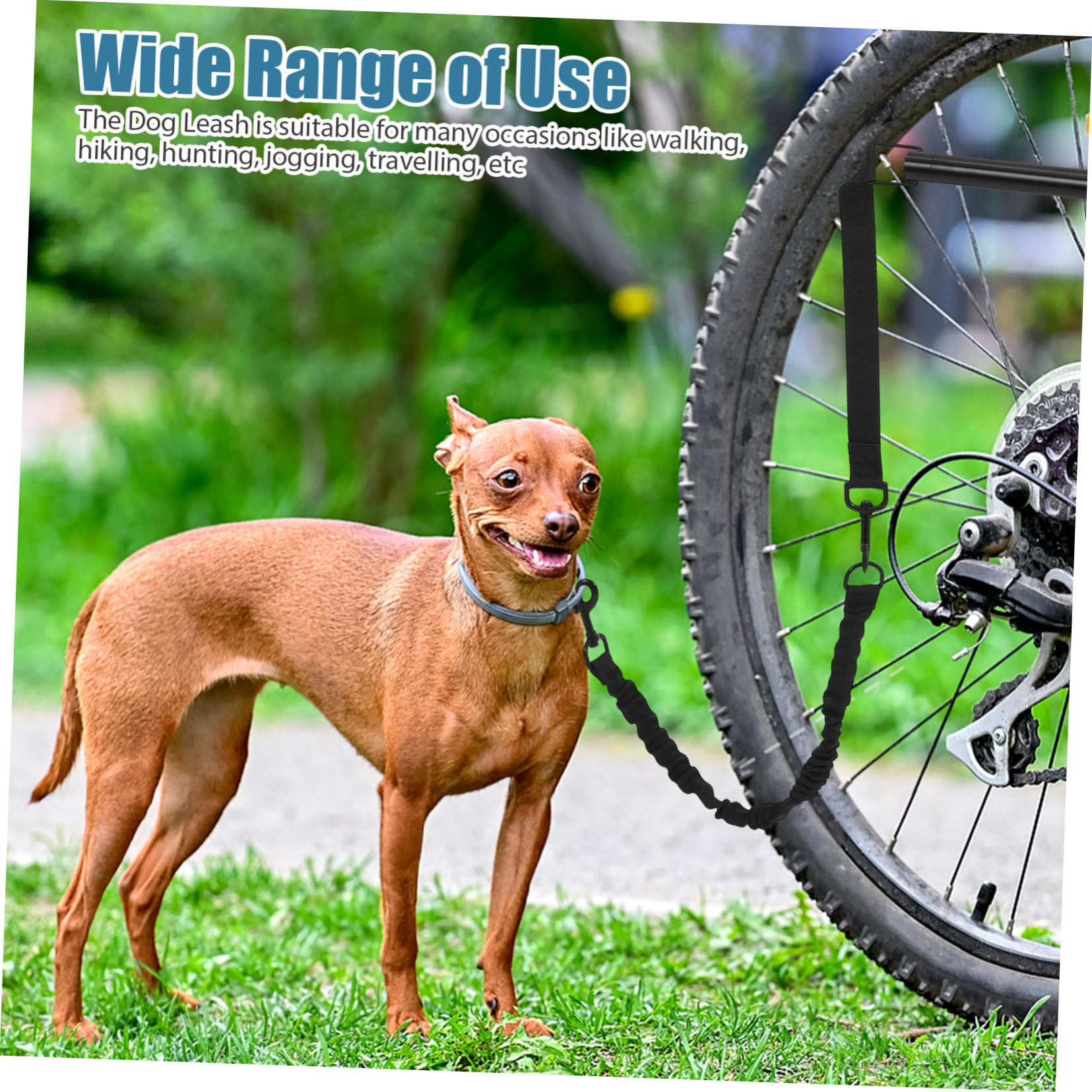 Guinzaglio da Bici per Cani Rimovibile, Robusto, Nero | Tessuto Oxford e Lega, per Cani Piccoli e Medi, per Camminata e Caccia, Ampia Libertà di Movimento