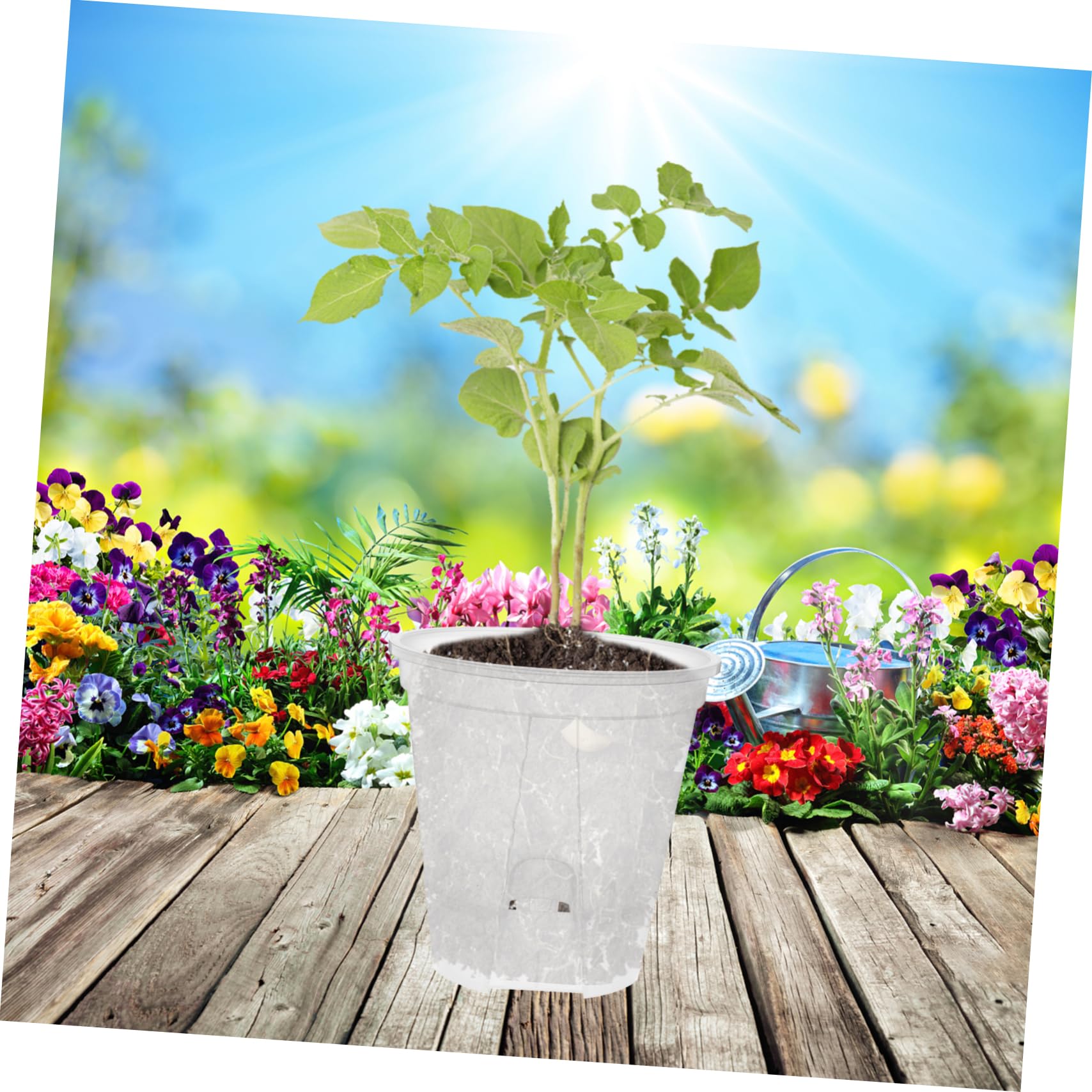 Kisangel Lot de 6 Pots à Orchidées Auto-drainants avec Pots de Pépinière en Plastique pour Plantes Dintérieur Contrôle des Racines Portable à Circulation