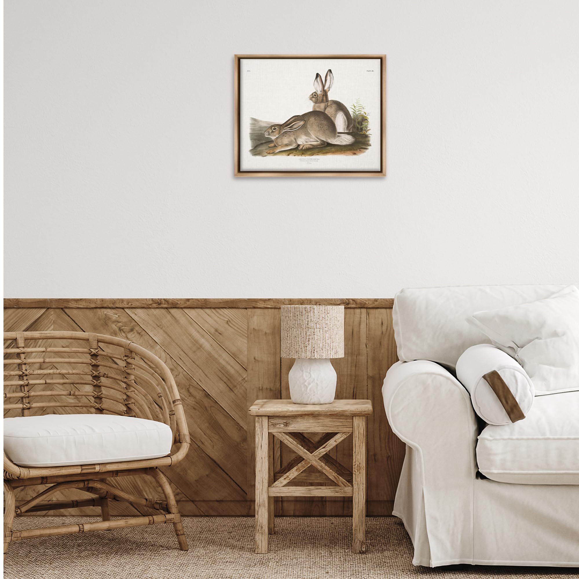 Stupell Industries Traditional Cottage Hare Framed Floater Canvas Wall Art Design by Wild Apple Portfolio