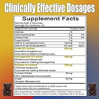 Vista 5 de Shilajit - Gomitas Shilajit puro del Himalaya de 300 mg con ashwagandha, rodiola, cúrcuma, jengibre, vitamina C y D, energía, enfoque y apoyo