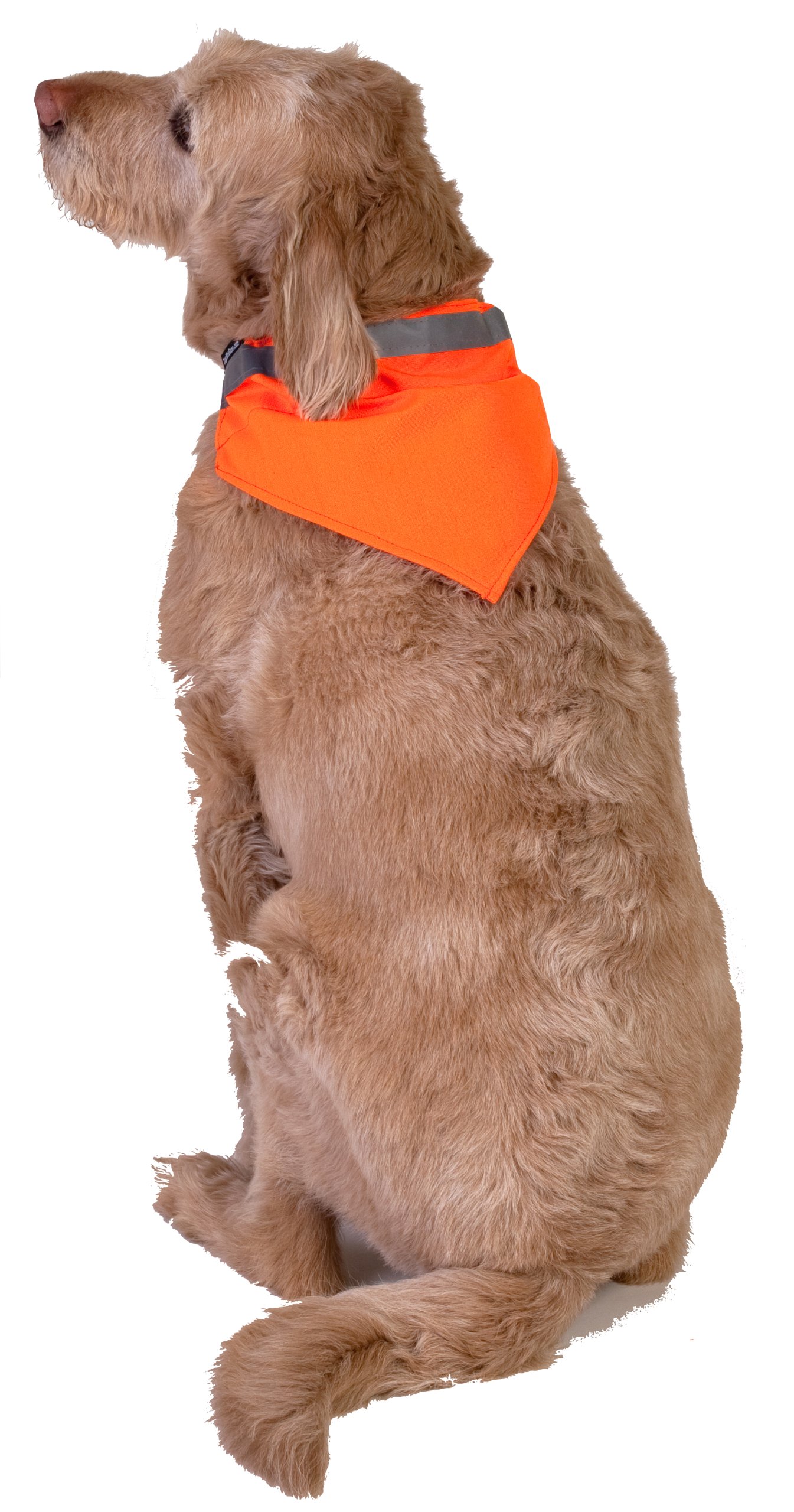 Dog Not Gone Visibility Products Collar Kerchief