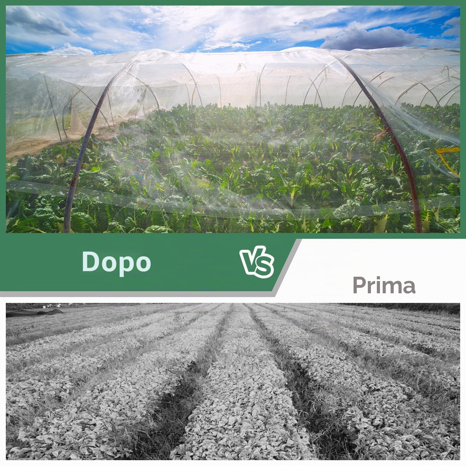 Rete da giardino Rete anti-insetti Barriera ultra fine per la protezione delle piante in rete per le coltivazioni di ortaggi, fiori, frutta e piante da serra (10x50FT)