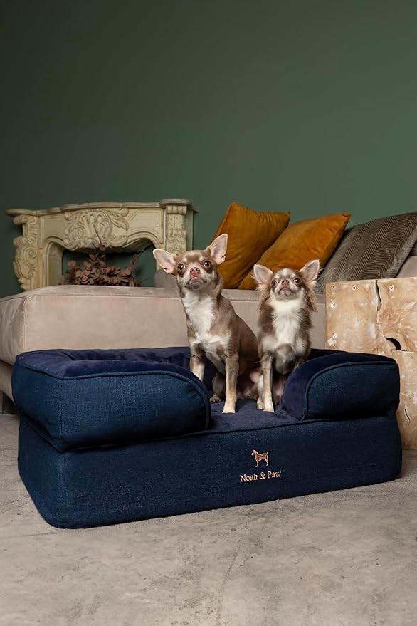 Cama Sofa Perro Mediano 28x23 Pulgadas Ortopédica Lavable miniatura 2