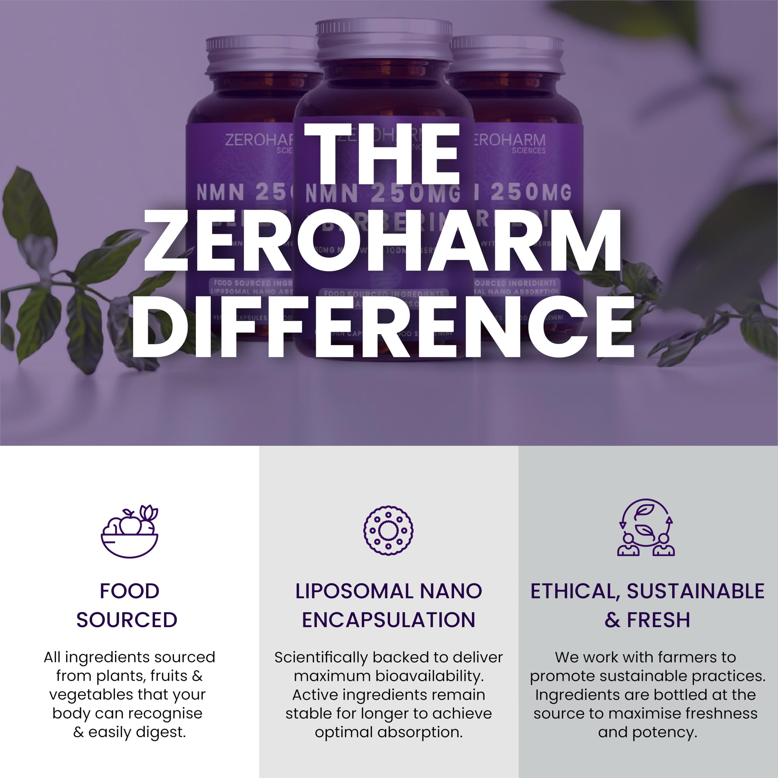 ZEROHARM NMN 250 mg con berberina – Assorbimento liposomiale – Alimentato da ingredienti alimentari veri – Confezione da 60 (confezione da 1)