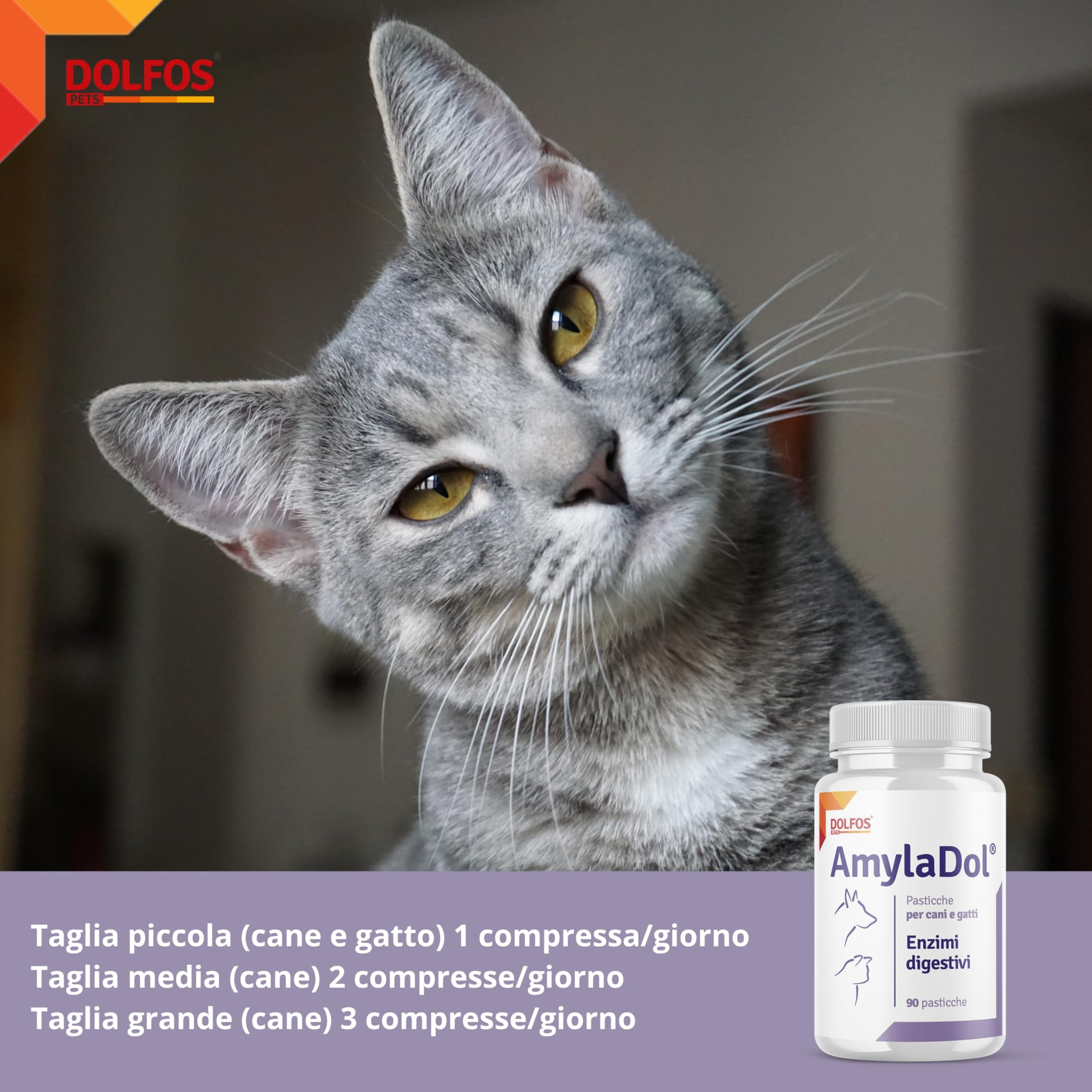 Pets Dolfos AmylaDol 90 Compresse Enzimi digestivi Naturali: Amilasi, Lipasi e Proteasi. Alimento complementare dietetico in Caso di disturbi digestivi dei Cani e dei Gatti