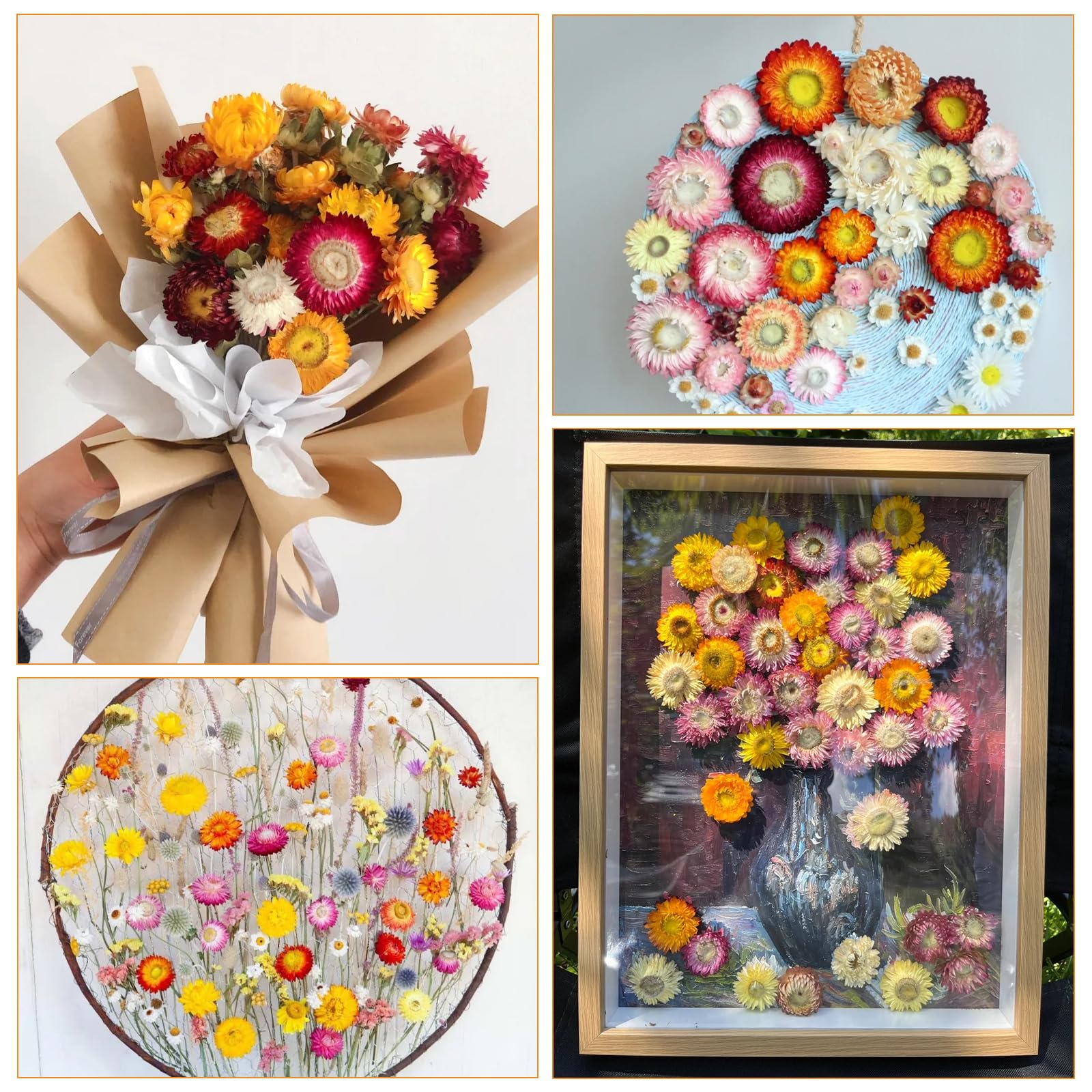 Fiori Secchi Naturali Margherita Composizione 32 Pezzi Stabilizzati per Matrimoni Decorazioni Casa