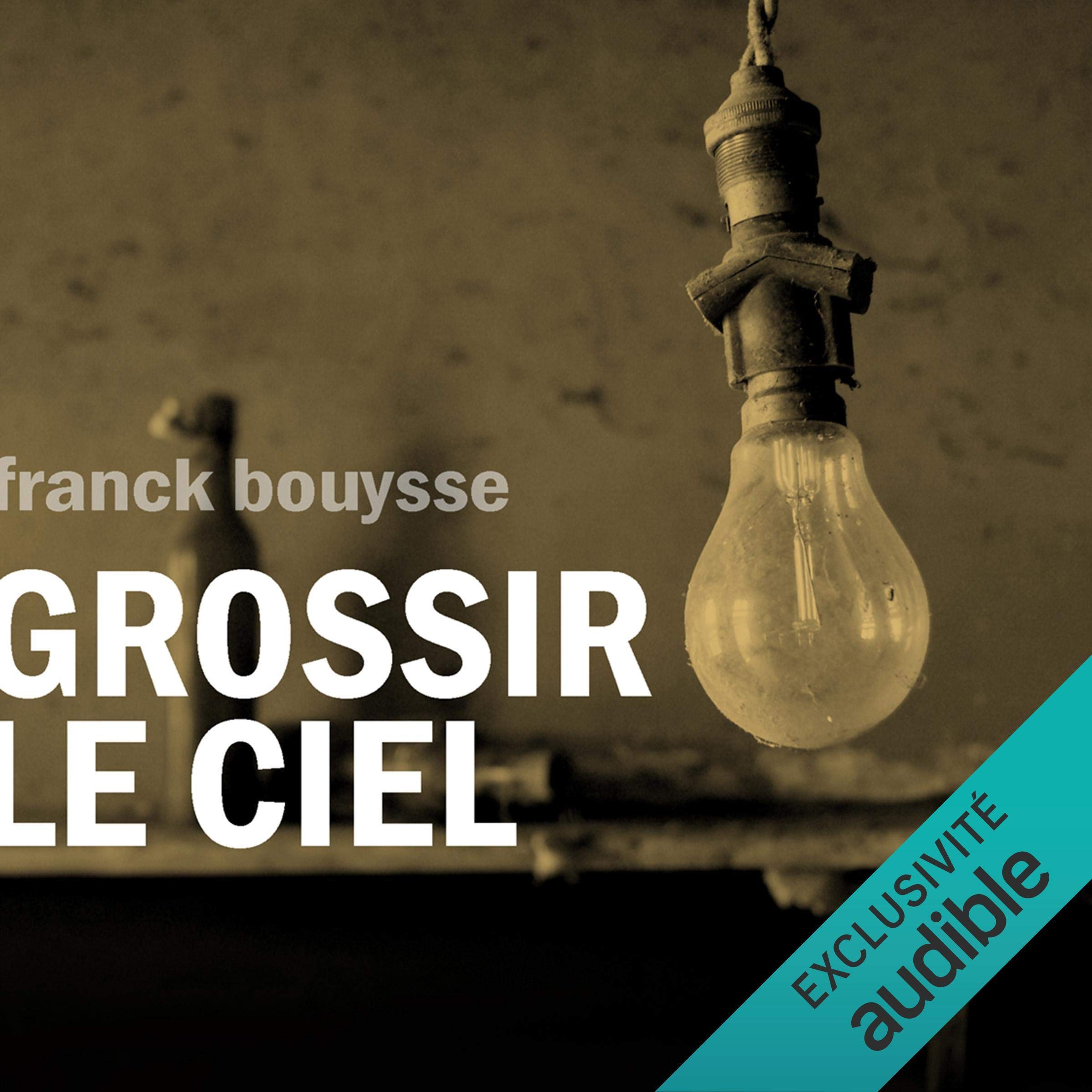 Cover art for Grossir le ciel