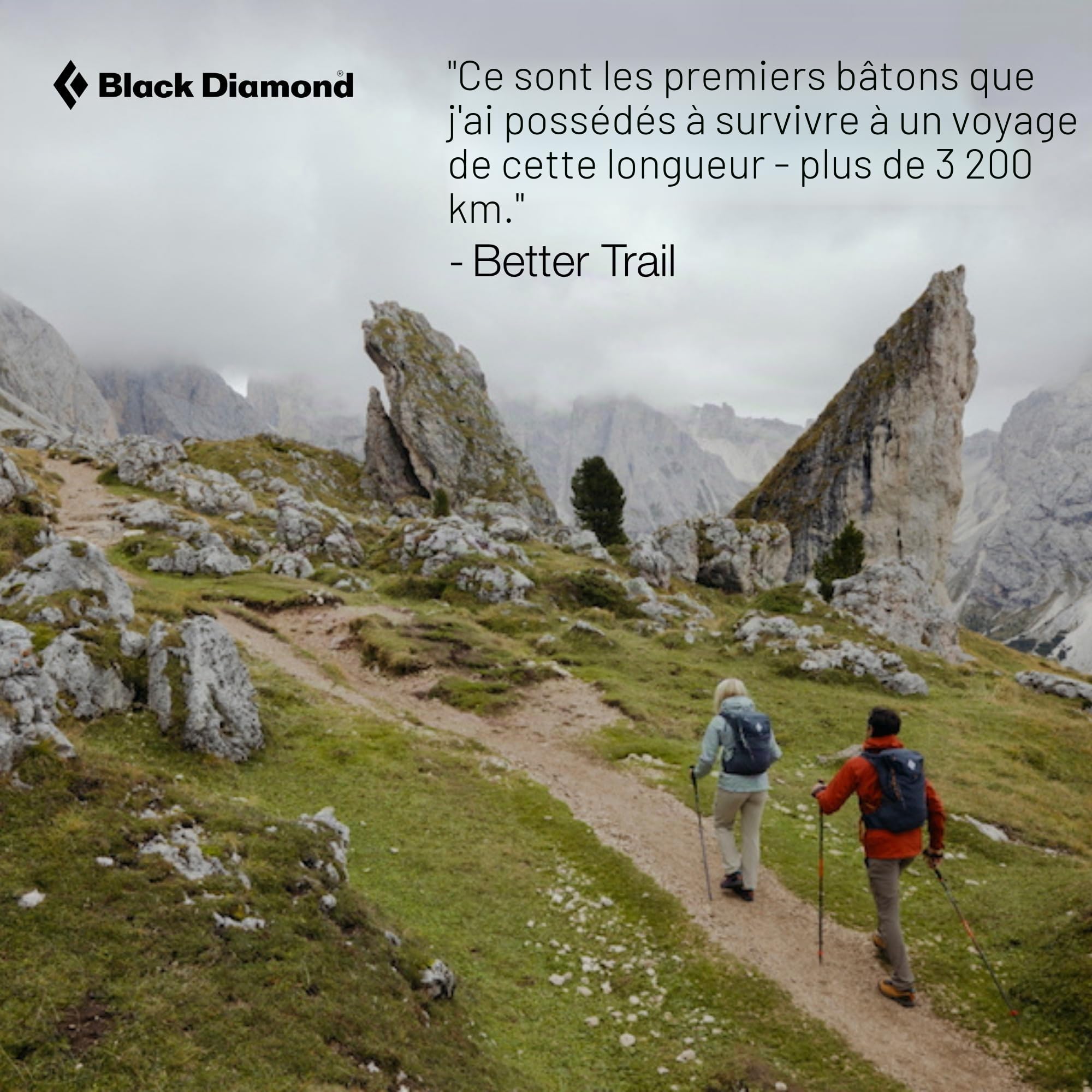 Black Diamond Pursuit Bâtons de randonnée en Aluminium Pliables et réglables