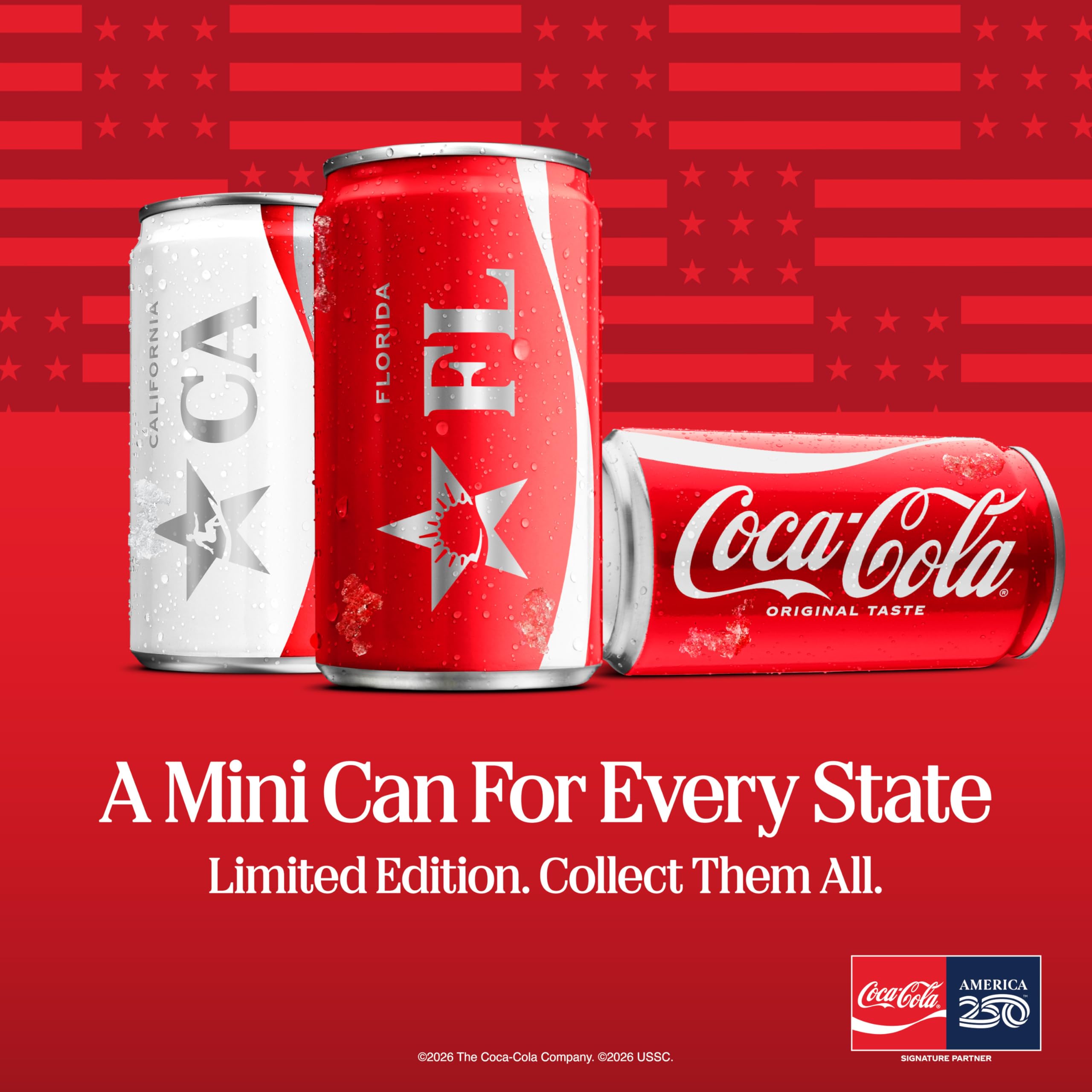 Coke Zero Sugar Diet Soda Soft Drink, 1.25 Liter Bottle