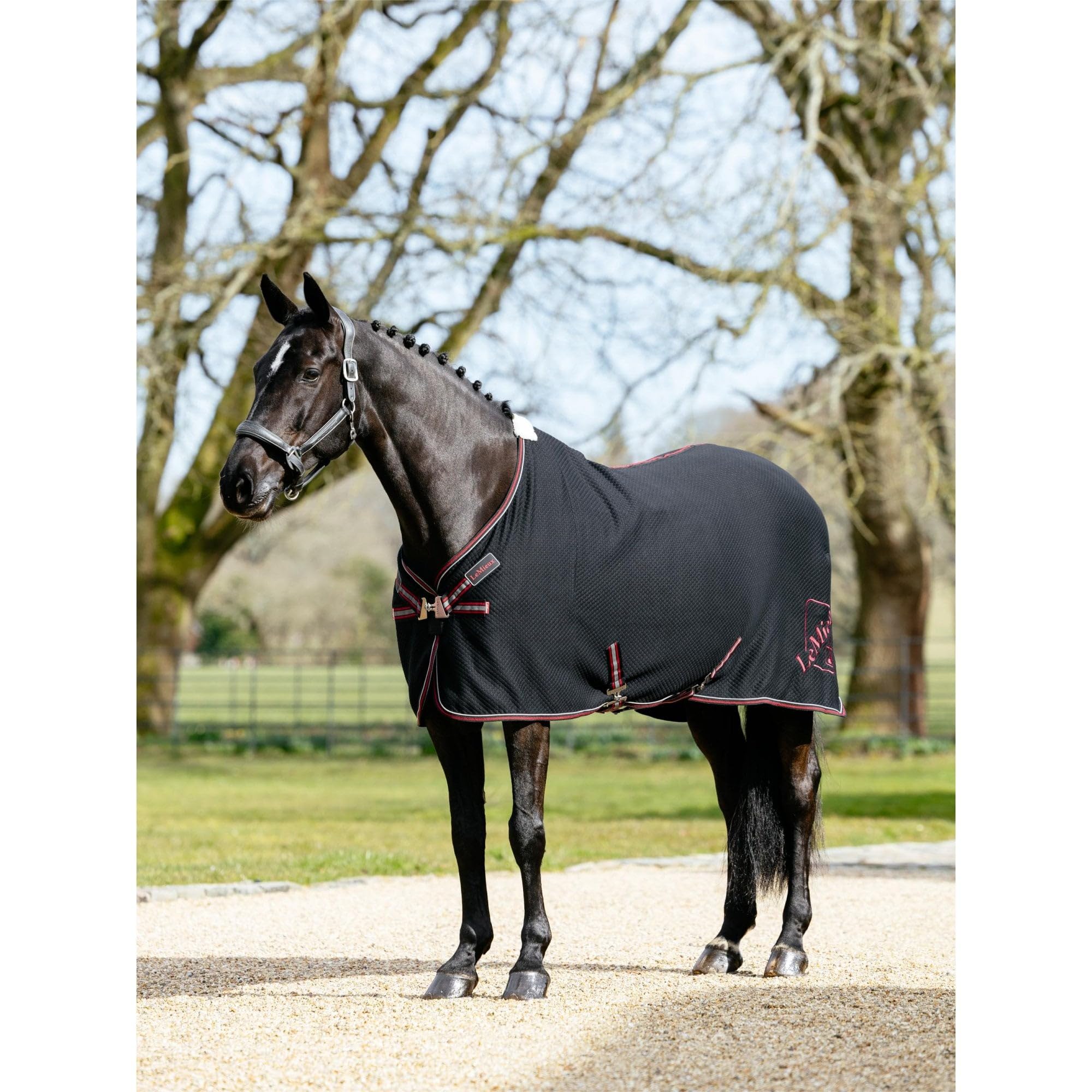 LeMieux Kudos Bamboo Cooler Rug - Black - 5ft