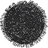 Saro Lifestyle Rustic Raffia Fringe Placemat Set of 4, Black, 14"