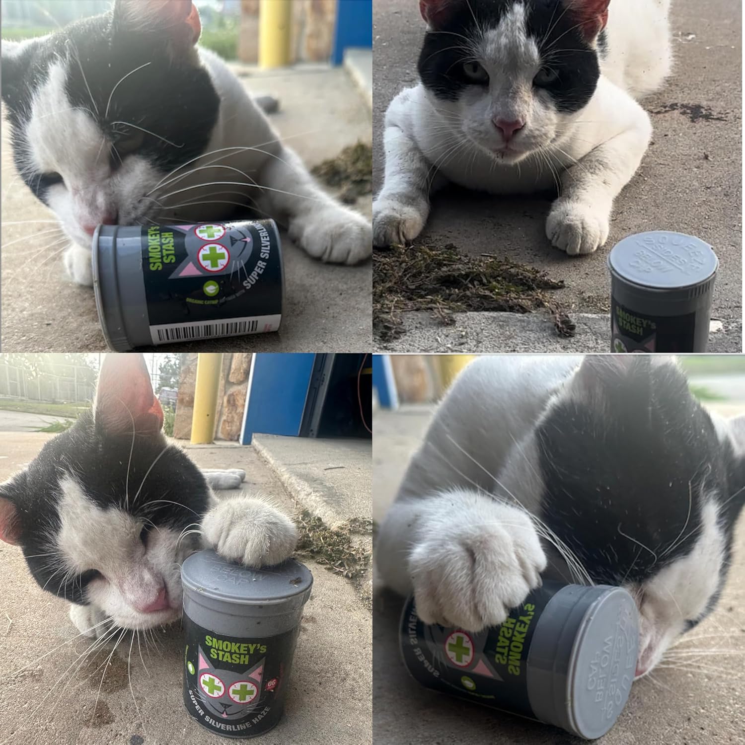 Smokey's Stash Silvervine Haze Potent Catnip and Silver Vine Blend for Cats