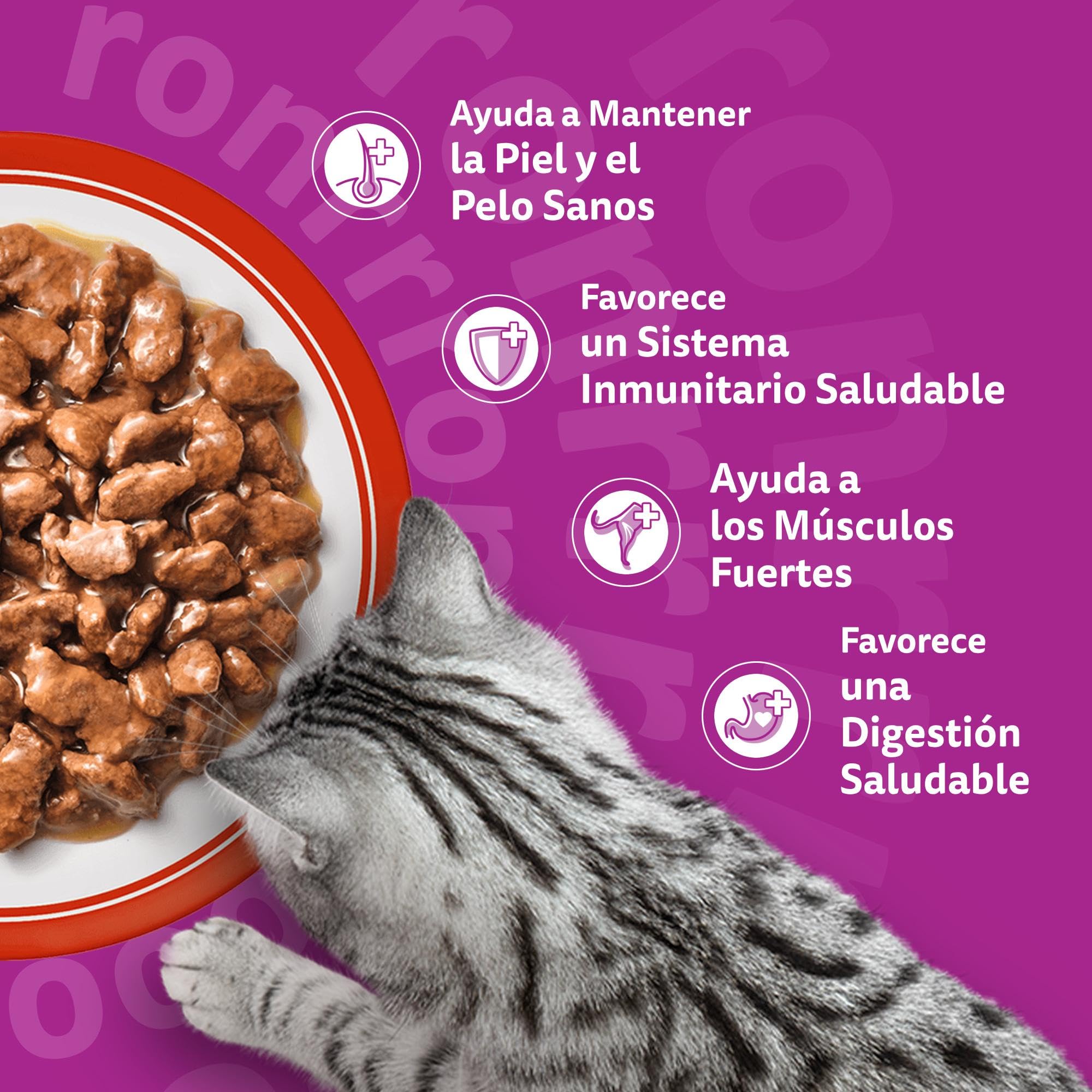 WHISKAS Duo Comida húmeda en Salsa Gatos Adultos Comb. Clásicas - 4 x 12 bolsitas x 85g