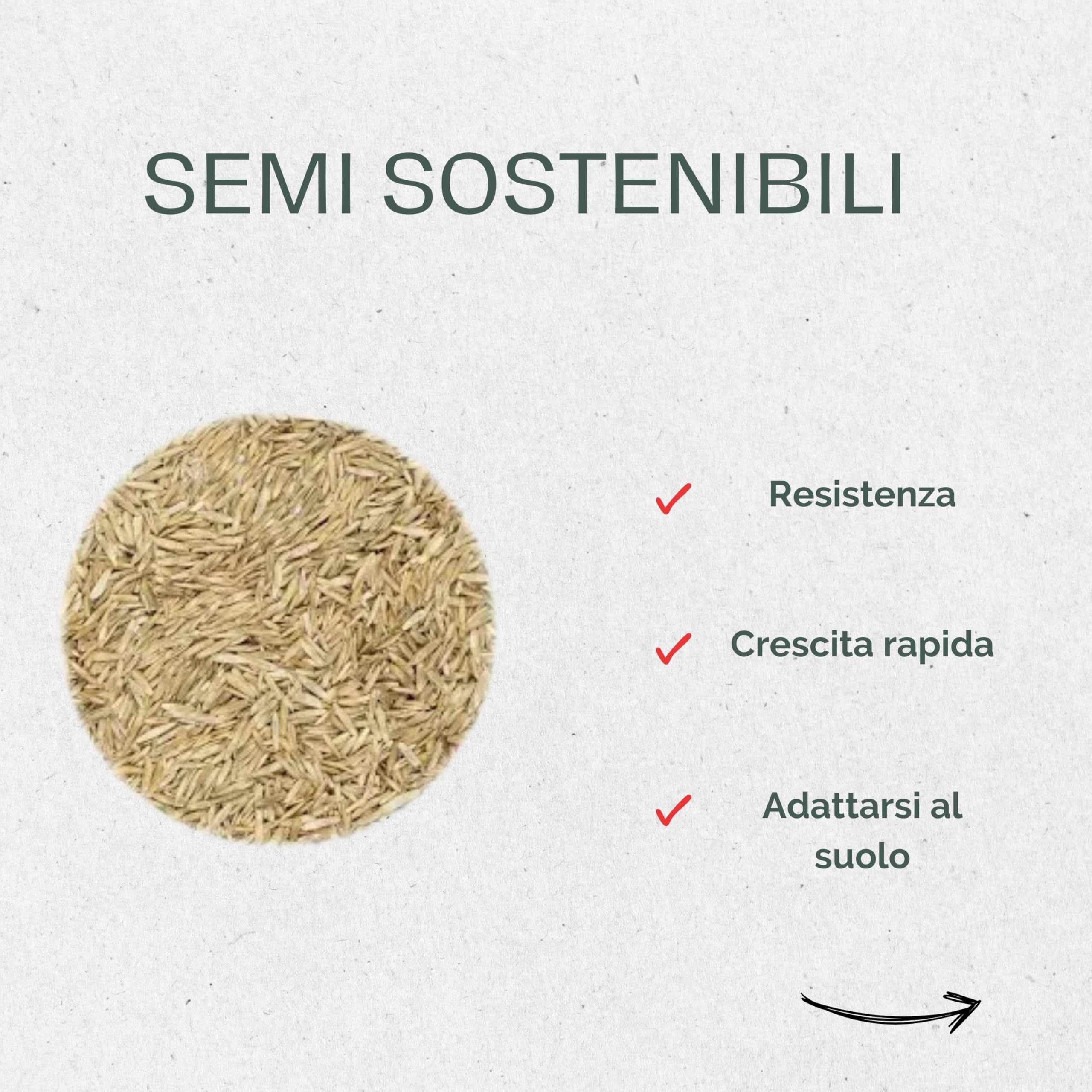 La Plaine Chassart - Semi per Prato Resistente 20KG - Crescita Rapida e Gazon Sempre Verde
