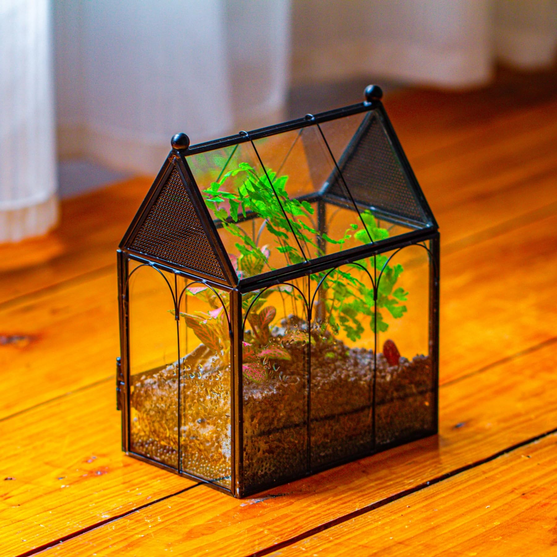 NCYP 14,7x9,6x17,8 cm Petit Enclos en Verre avec Maille pour Araignées, Insectes, Terrarium pour Plantes à Ouverture Frontale en Forme de Maison (Plantes et Accessoires Non Inclus)
