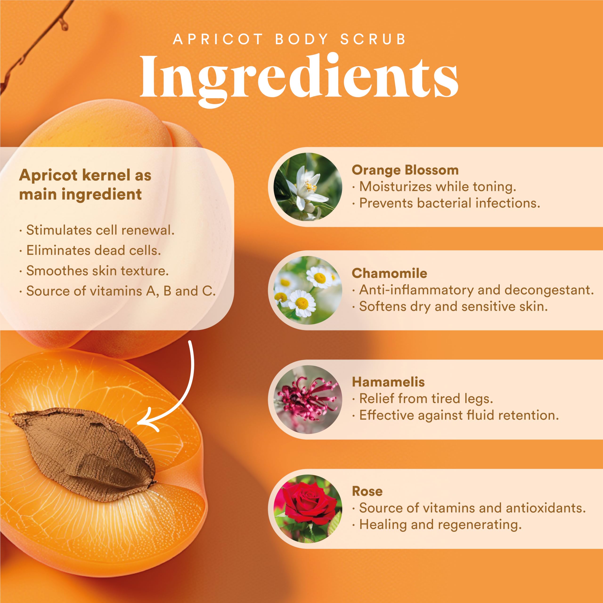 QKnatur Esfoliante Scrub Corpo Naturale con Nocciolo di Albicocca – Esfolia e Nutre la Pelle – Estratti di Azahar, Camomilla, Rosa e Amamelide – 300 ml