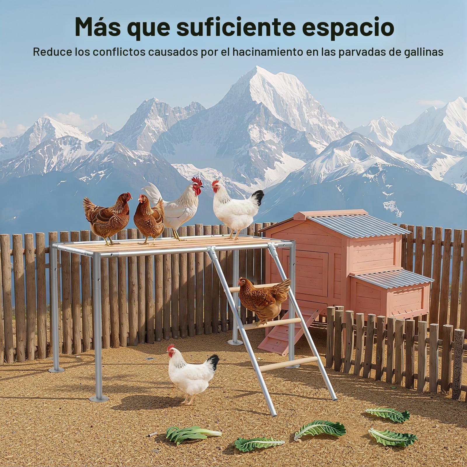 Juego de gallinero XXL para gallinas, escalera para 10 pollos, juguete para pollos, juguete exterior, 105 x 60 x 60 cm