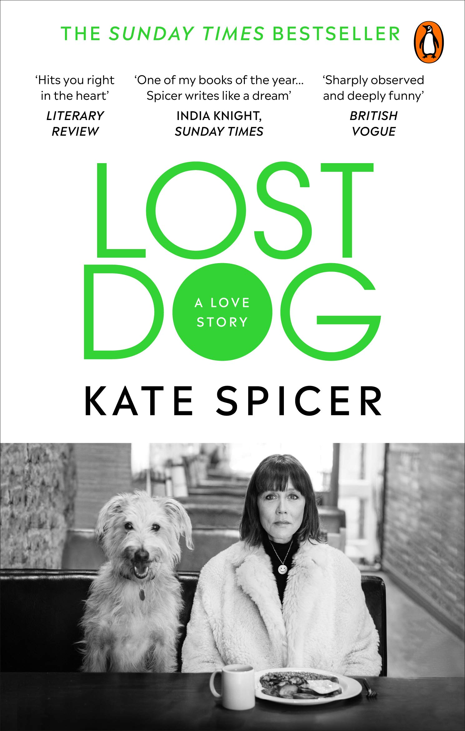 Lost Dog A Love Story by Kate Spicer (Paperback Book)