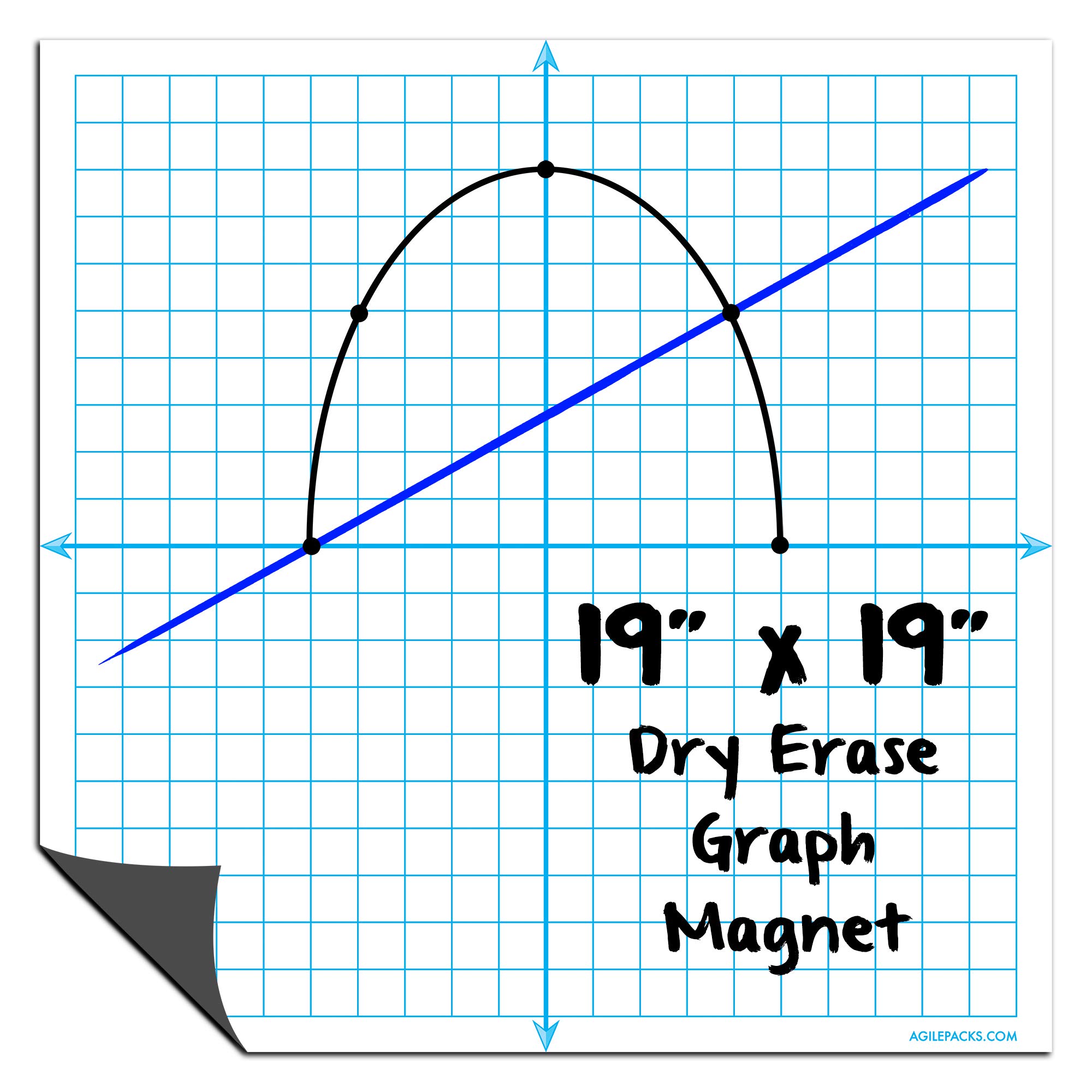 Buy Dry Erase Graph XY Coordinate Grid Whiteboard Sheet by