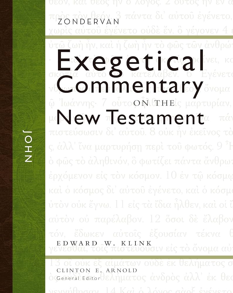 John (4) (Zondervan Exegetical Commentary on the New