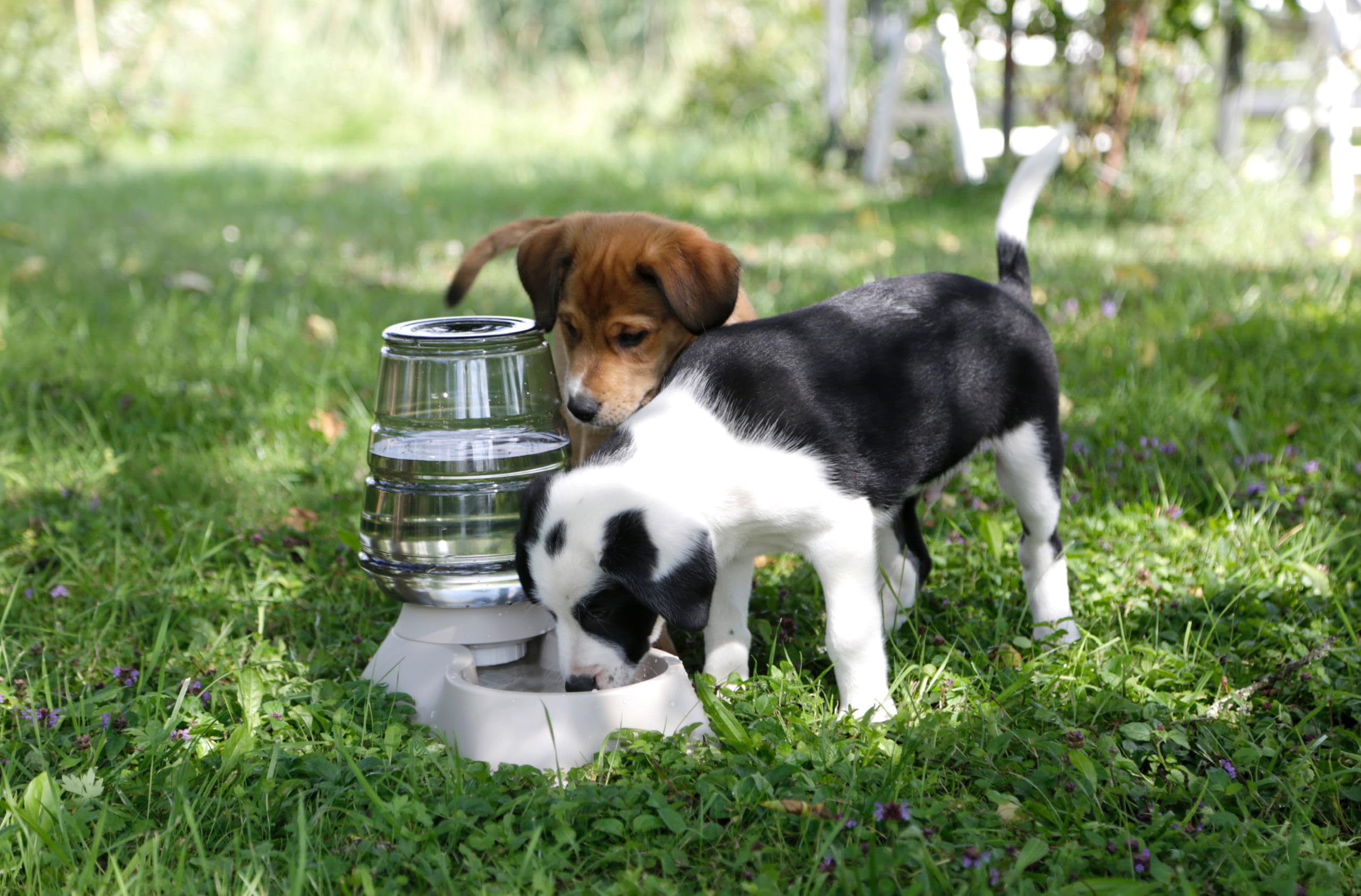 Kerbl Pet Dispensador de Agua Nuvola, Bebedero, 3,8l, Topo, plástico, para Perros y Gatos, a Prueba de Fugas, Estable