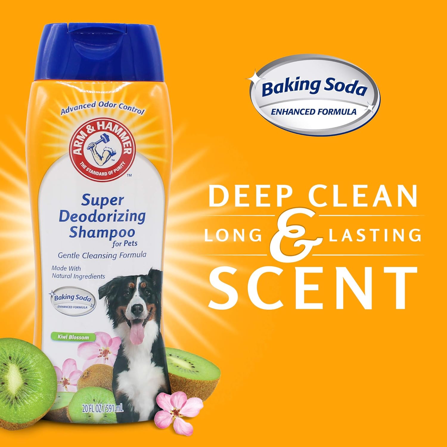 deodorizing shampoo