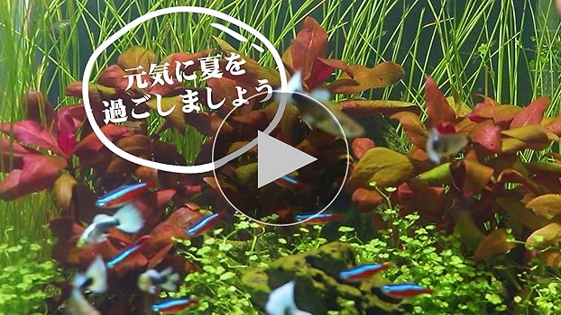 Amazon.co.jp: Clscea 水槽用自動給水器 水槽水位コントローラ