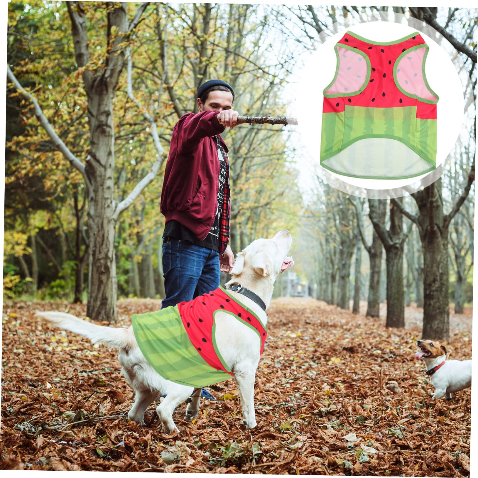 Gilet Rafraîchissant pour Chien, Été, Soie, Taille L, Motif Pastèque