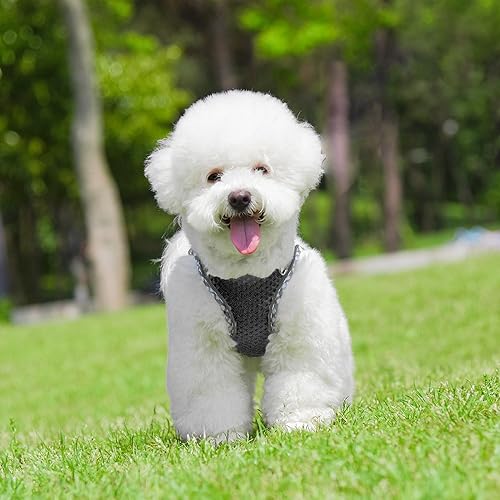 Miniatura 4 de Arnés para perro pequeño, malla de diamante para todo tipo de clima, rayas reflectantes, arnés ligero sin tirones para cachorros, perros pequeños y