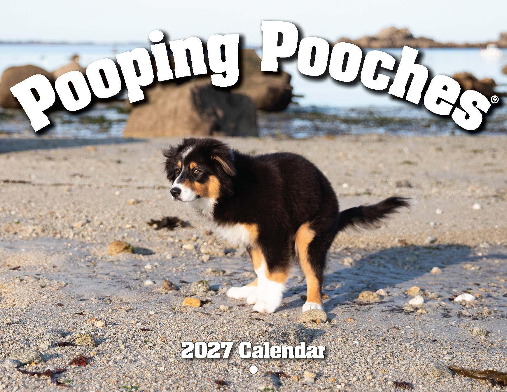 Pooping Pooches Wandkalender, weißes Elefant, Spaßkalender, Geschenkidee