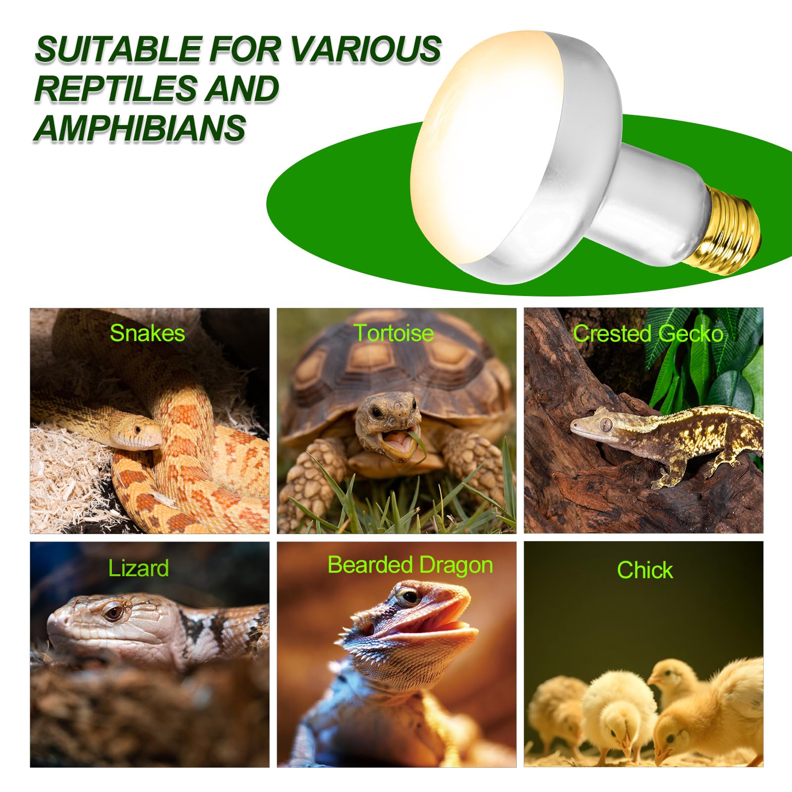 100W Reptile Heat Lamp Bulbs 2 Pack, UVA Basking Light Bulb with Simulate Natural Sunlight & E26 Base - 3000Hrs Basking Heating Lamp Bulb for Bearded Dragons, Turtles, Snakes, Lizards - image 5