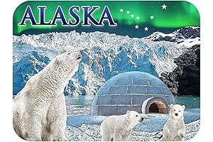 Alaska Northern Lights and Polar Bears Fridge Magnet