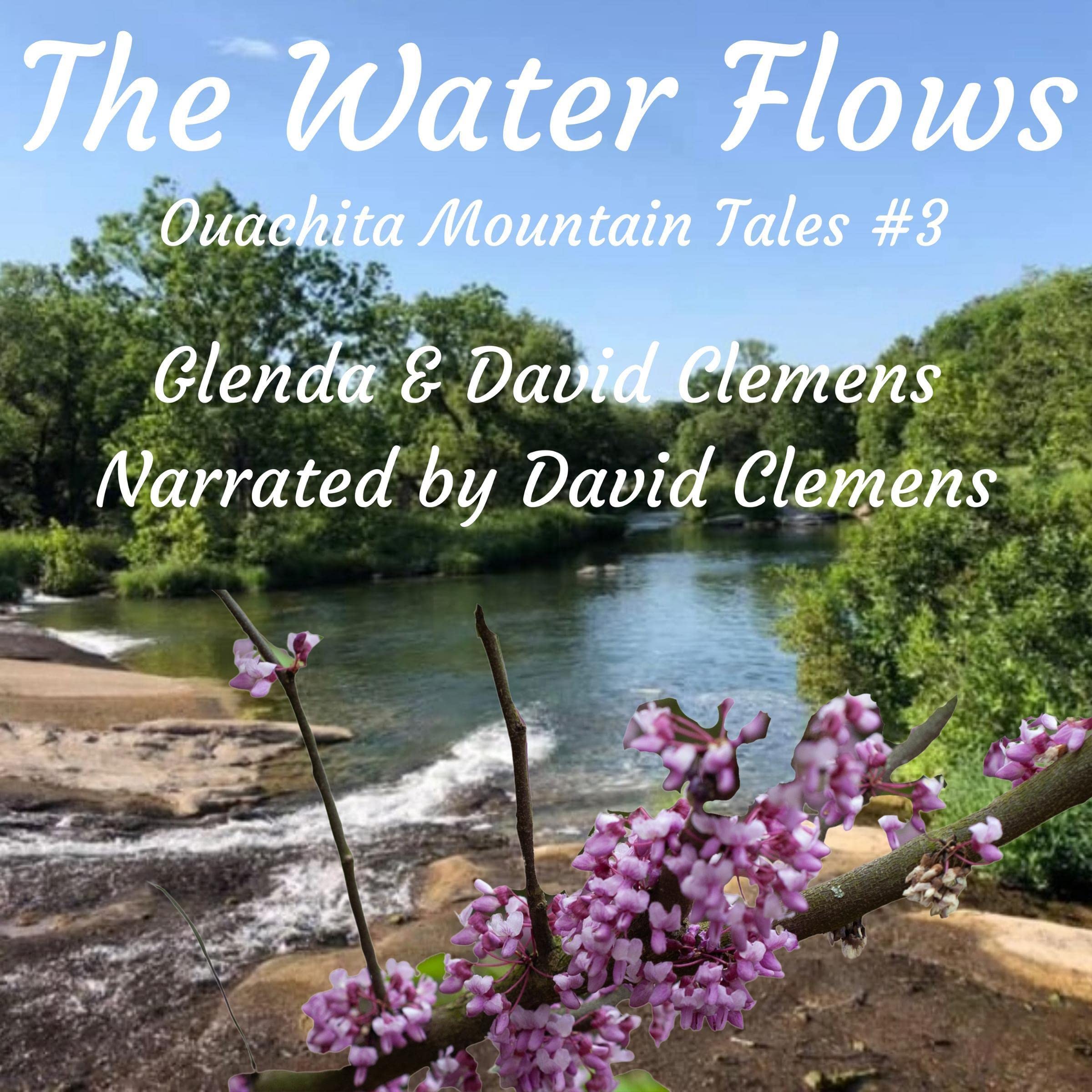 Cover art for The Water Flows
