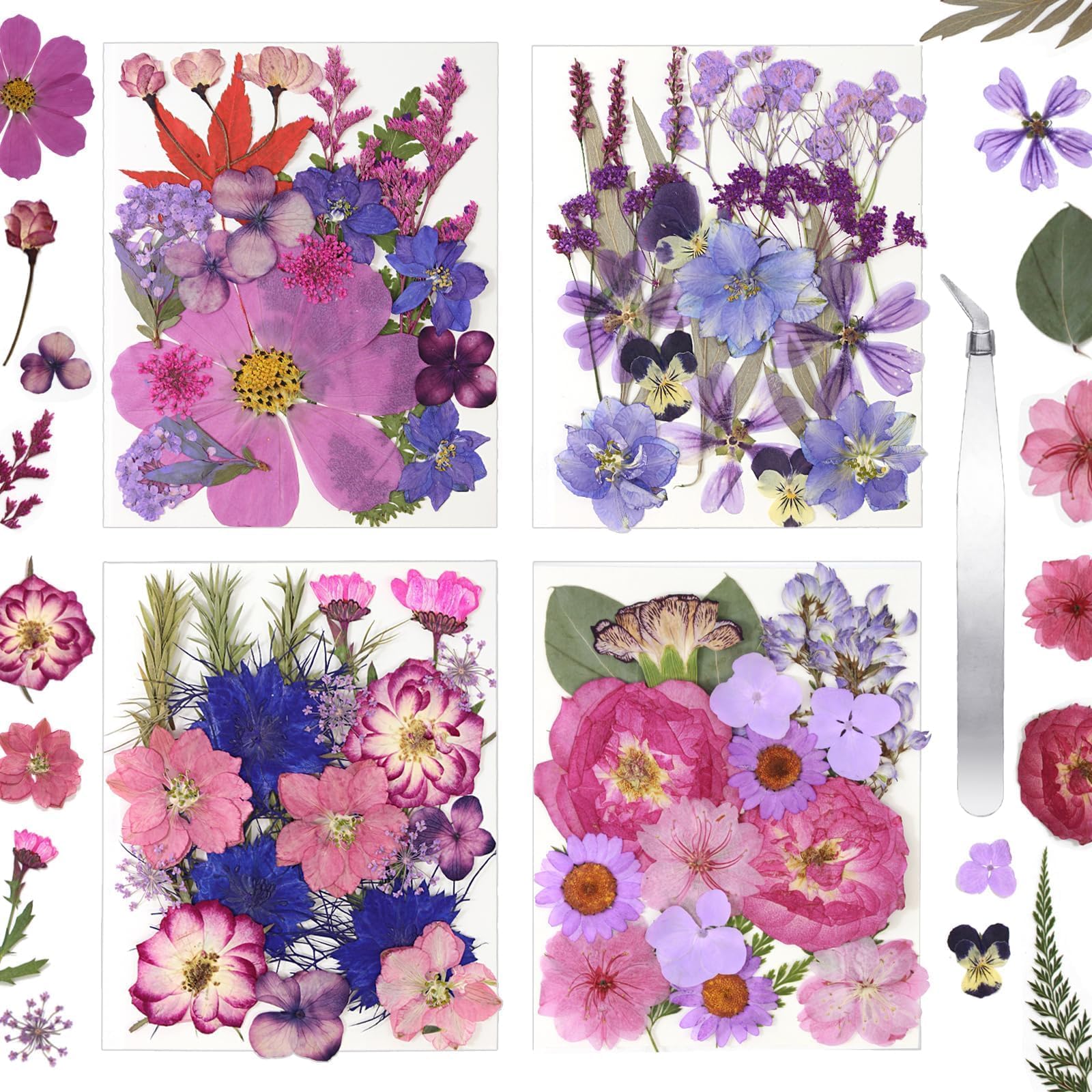 Dried Flowers for Resin Vacuum Packed DIY Pressed Flowers