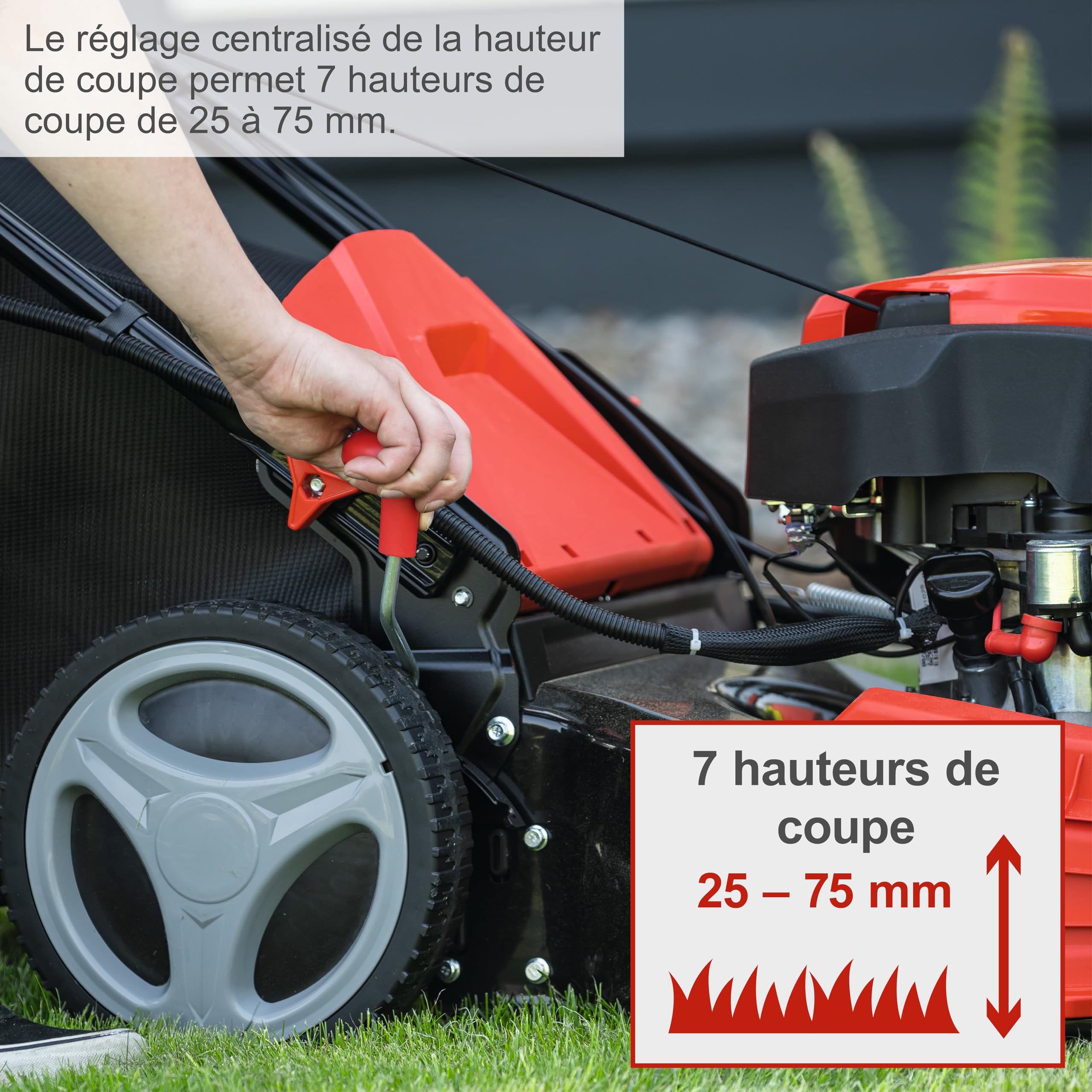 Scheppach Tondeuse à Gazon Hybride MS225-53E – Moteur 4 Temps 224 cm3 / 6 CV – 4400 W – Largeur de Coupe 53 cm – Démarrage électrique – Bac 65 L – Batterie 2Ah + Chargeur Inclus