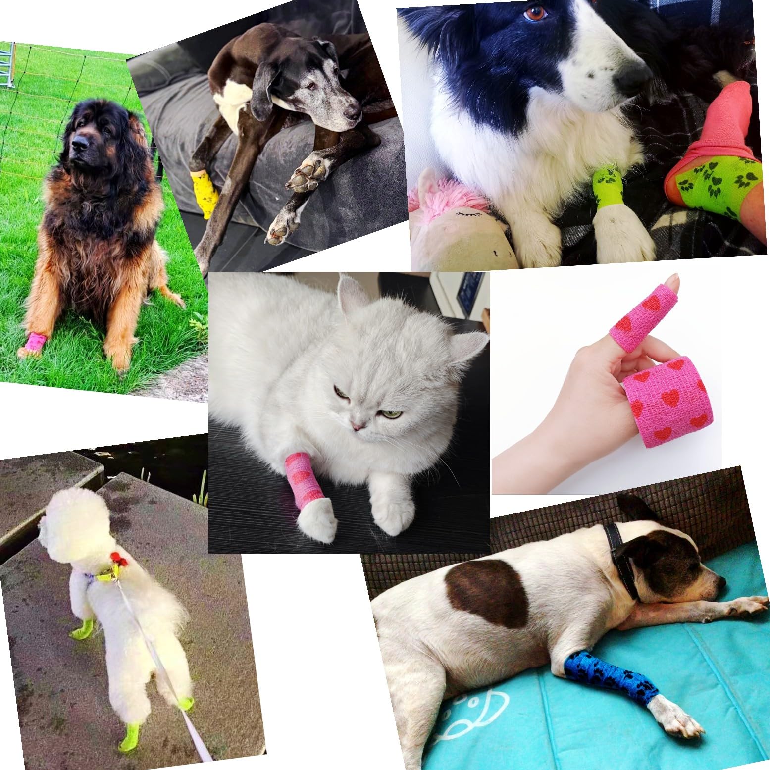 JZK 12 Rollos vendaje cohesivo 5 cm x 4,5 m, venda elástico autoadhesivo para mascotas y humanos, cinta banda elástica adhesiva para vendaje patas, pies y patas de perros y gatos, multicolor