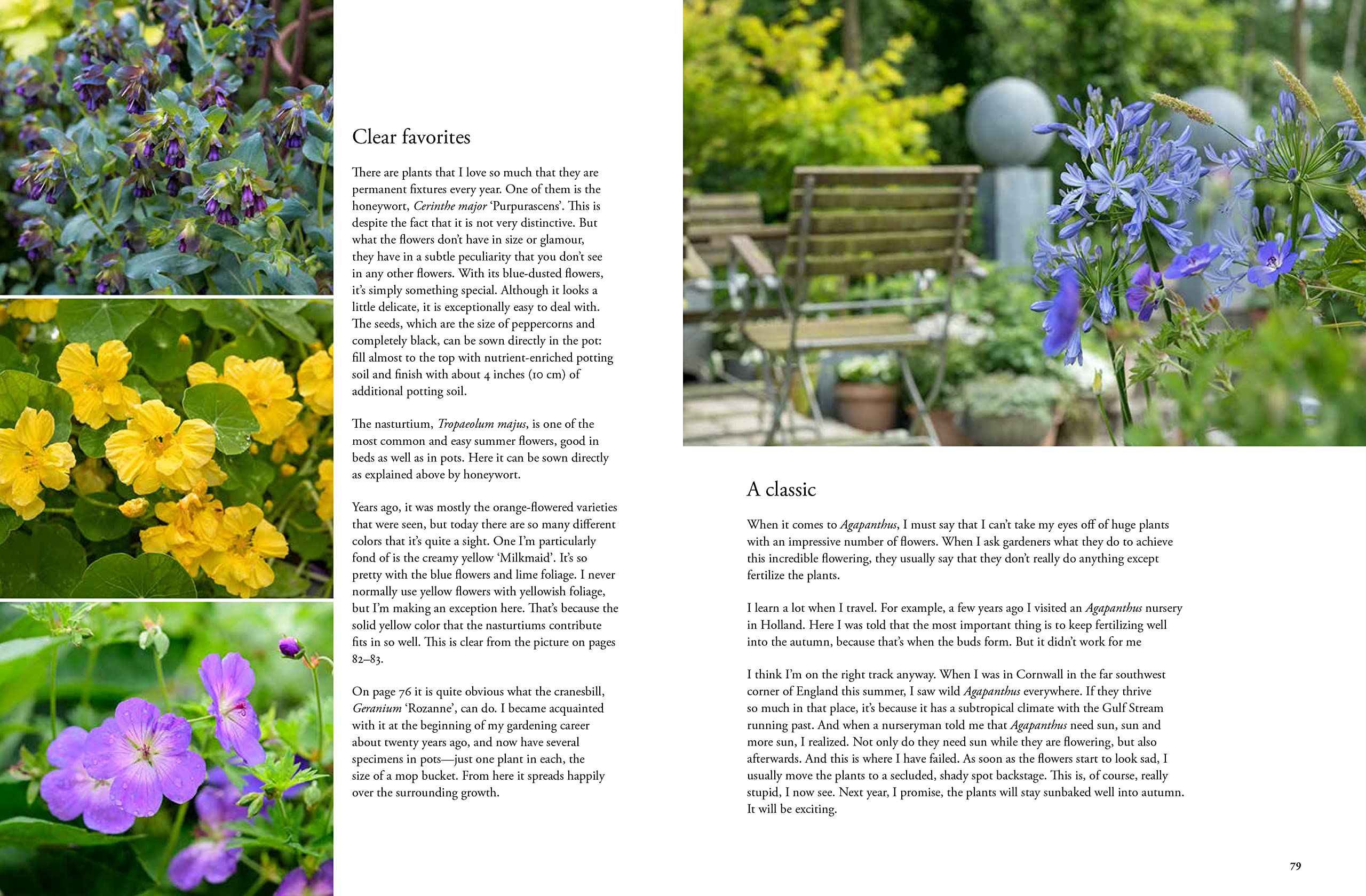 Container Gardening Guide - Grow Beautiful Gardens -3