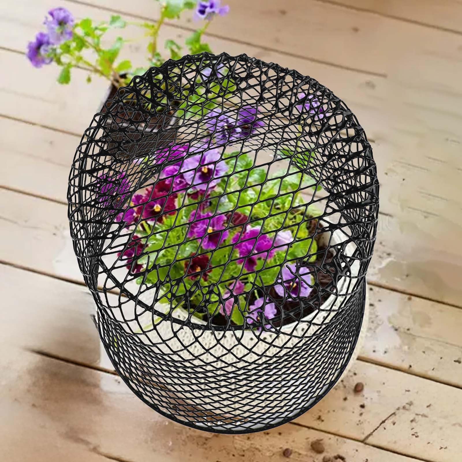 Griglia per piante sicura per gatti in ferro 23 x 23 cm giardino (5 pezzi)