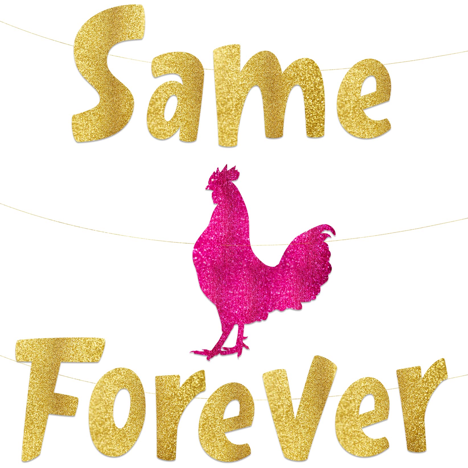 Pre-Strung Funny Bachelorette Party Gold Glitter Banner - Funny Bachelorette Party Decorations for Her - Party Supplies, Favors and Gifts