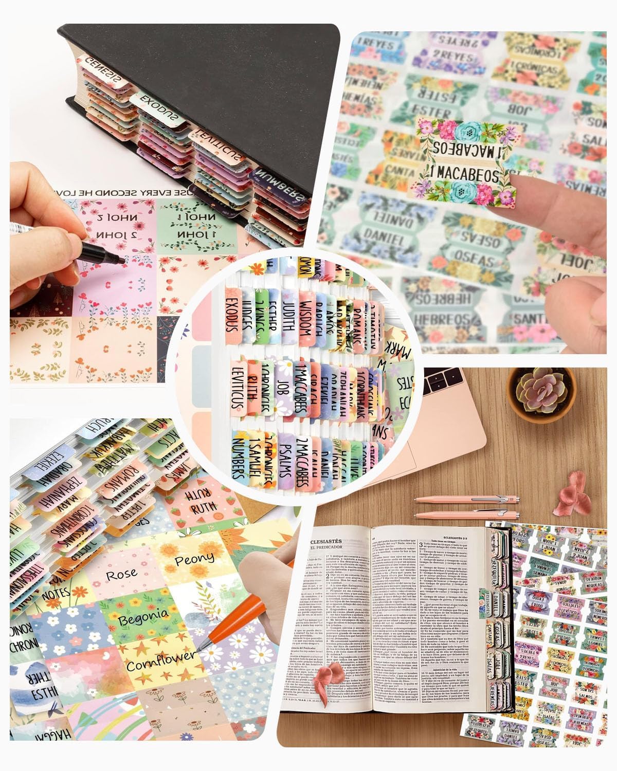 Pestañas de la Biblia para mujeres, 5 hojas, rosa, laminadas, Antiguo y Nuevo Testamento