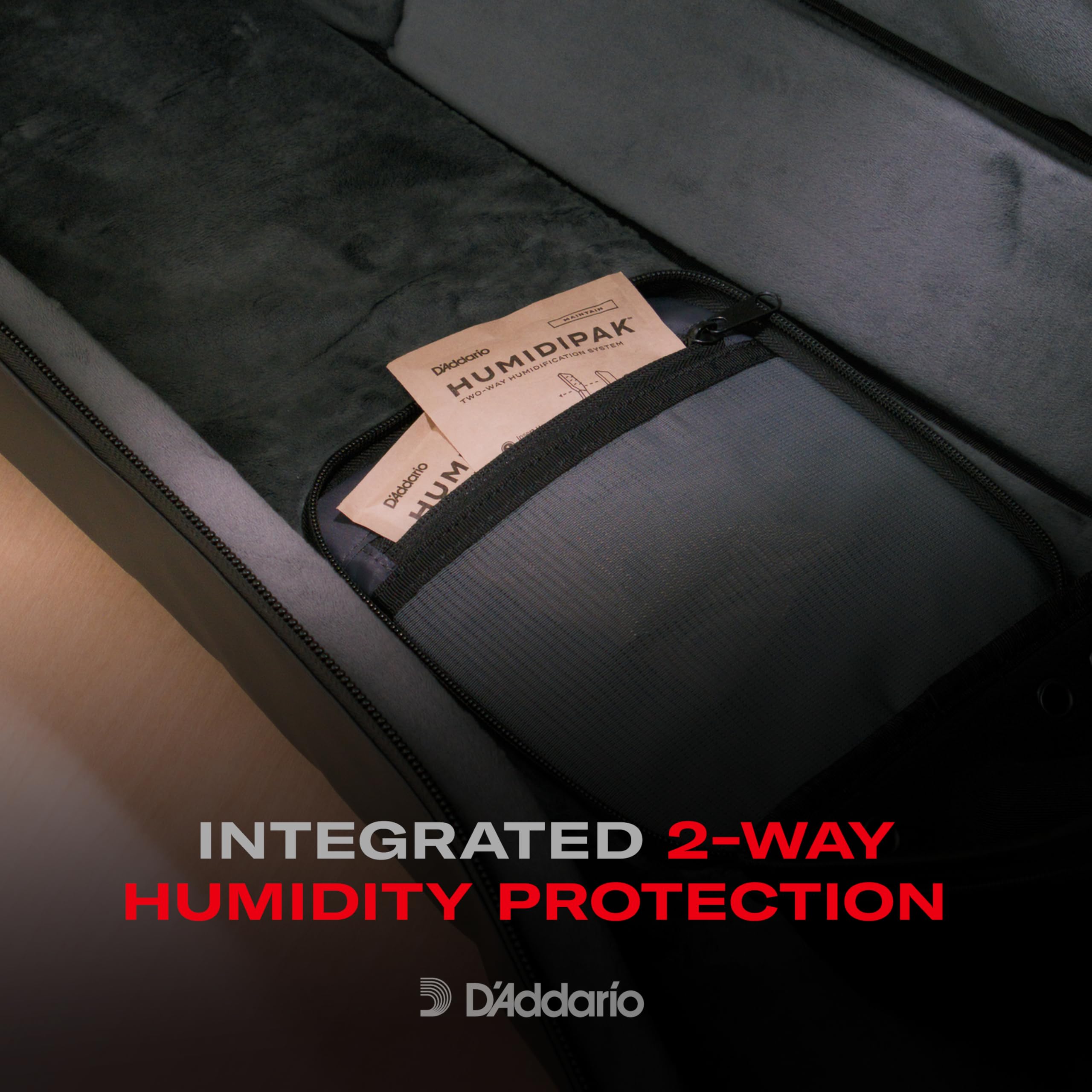 Estuche Instrumento D'Addario Backline