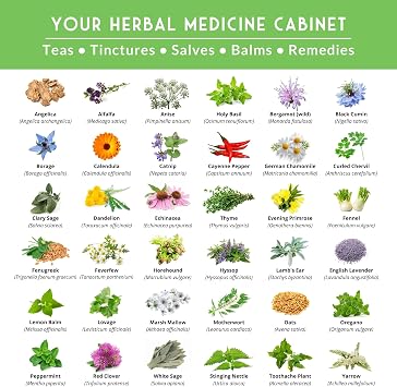 Ultimate Medicinal Herb Seeds, 36-Variety Heirloom Non-GMO Pack | Non-GMO Healing Herbs for Planting - Wellness Apothecary Garden Kit for Herbalists, Homesteaders - Survival Garden Seeds