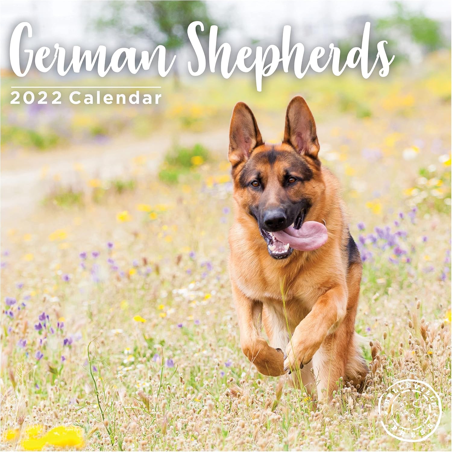 Buy 2022 German Shepherds Wall Calendar 12 X 12 Inch Cute Puppy Dogs Online In Indonesia B091cynz1q