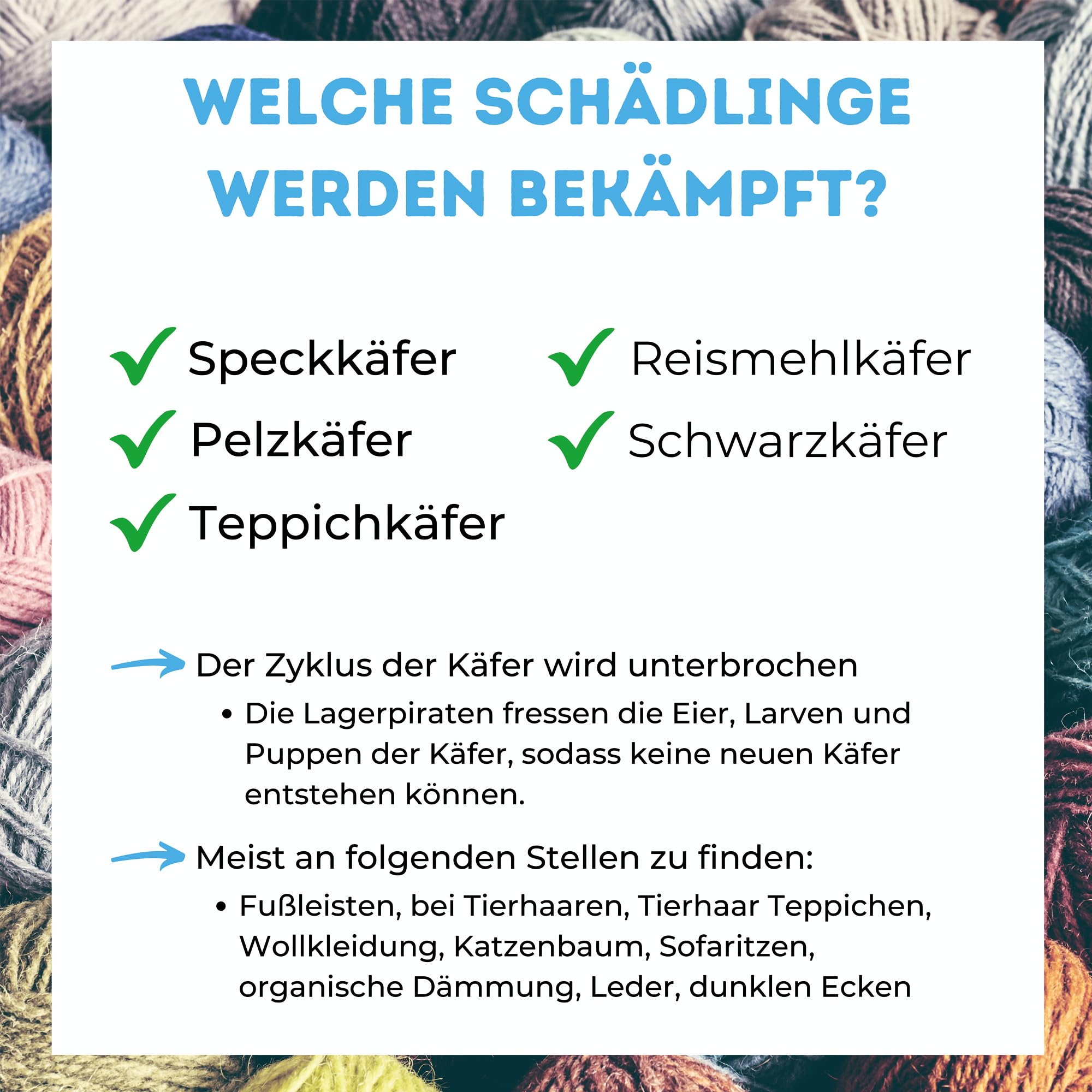 Speckkäfer & vieles mehr bekämpfen mit Lagerpiraten (120 Tiere in Kunststoffröhre) – für ca. 60 m² – 100% Biologisch, Chemiefrei & Natürlich – Made in Germany