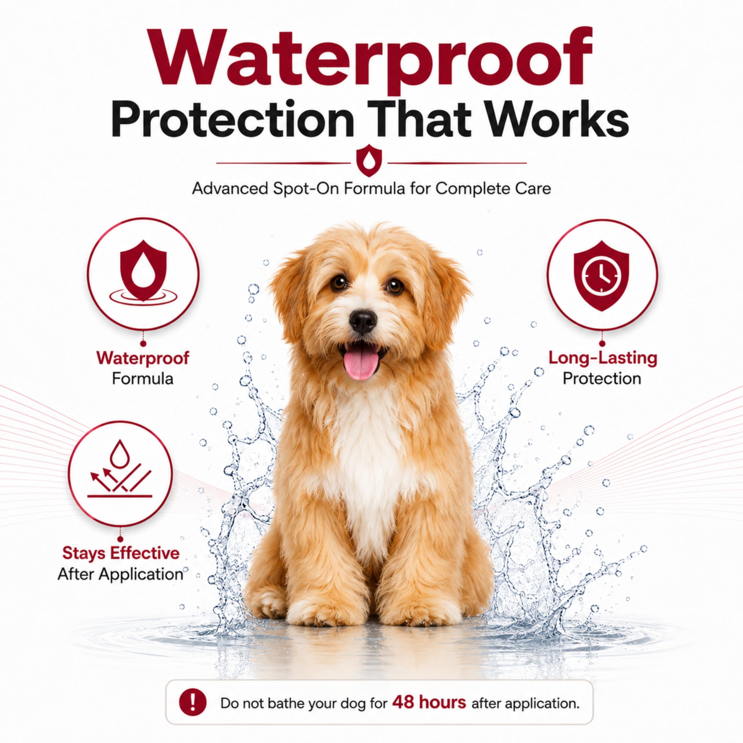 Richpet Spot On for Dogs (0-10 kg), Monthly Flea, Tick & Chewing Lice Treatment, Topical Parasite Protection 3