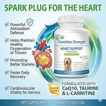 Heart Support for Dogs with Taurine & Carnitine, Promote Blood Circulation, Support Cardiovascular Function, Heart Muscle Integrity & Free Radical Defenses, 120 Chewable Tablets